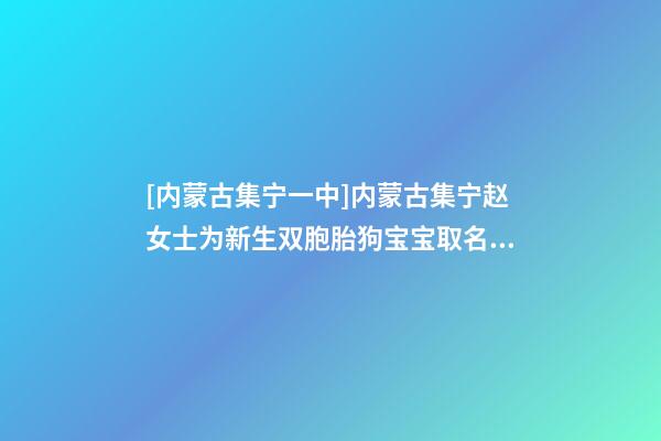 [内蒙古集宁一中]内蒙古集宁赵女士为新生双胞胎狗宝宝取名时尚型套餐